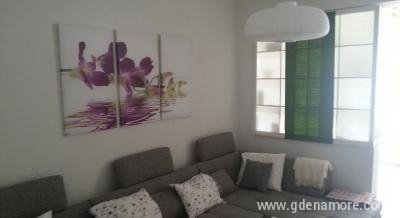 Apartman Adrian, Privatunterkunft im Ort Baška Voda, Kroatien